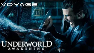 Underworld Awakening | Chased By Lycans | Voyage