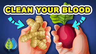The BEST Foods to CLEAN Your Blood Naturally | Top 12 Foods to PURIFY Your Blood Naturally
