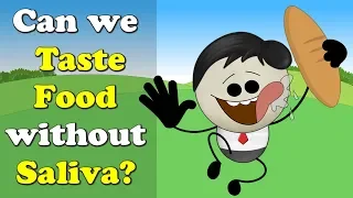 Can we Taste Food without Saliva? + more videos | #aumsum #kids #science #education #children