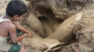 Best Hand Fishing Amazing Boy Catching Big Catfish  by Hand In mud Water