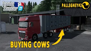 BUYING COWS FOR THE FARM|PALLEGNEY#2|TIMELAPSE|FARMING SIMULATOR 22|GAMEPLAY|NO COMMENTARY|FS 22