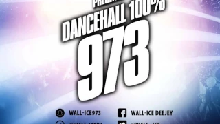 DJ WALL ICE - DANCEHALL 100% 973