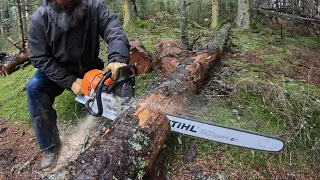 Life on a remote Alaska island after wind storm.