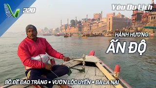 YDL #220: Hành hương Ấn Độ cuối năm, thăm chùa Việt Nam nơi đất Phật | Yêu Máy Bay