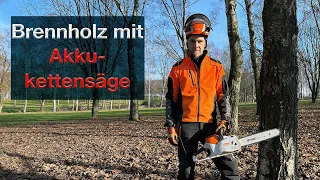 Top oder Flop - Baum fällen + aufarbeiten STIHL MSA 220 Akkukettensäge - Brennholz machen leise