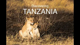 Ultimate Tanzania Safari: Serengeti, Tarangire, Lake Manyara & Ngorongoro | 4K Cinematic Experience