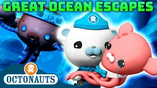 @Octonauts -  🌊 Great Ocean Escapes 🛟 | 80 Mins+ Compilation | Underwater Sea Education for Kids