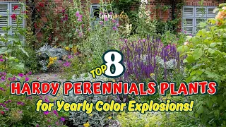 Top 8 Hardy Perennials for Yearly COLOR EXPLOSIONS!🌺😍🌼 // Gardening Ideas