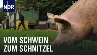 Schweinefleisch: Vom Ferkel zum Bioschnitzel  | Wie geht das? | NDR