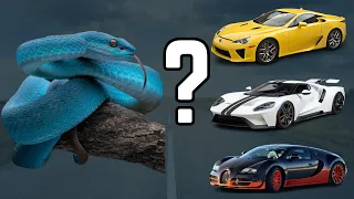 🔥Can You Guess The Car By Animal | Car Quiz Challenge 2023 🔥🚙🏎️