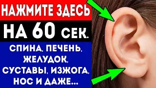 Нажмите здесь на 1 мин. и смотрите, что произойдет с Вашим телом (6 точек уха)