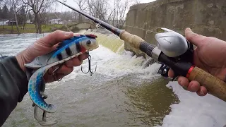 MUSKY FISHING FROM SHORE!! - Late Winter River Muskies