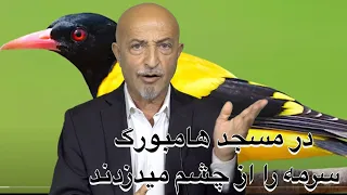 1178-shafie ayarمسجد ابراهیم  خلیل الله در هامبورگ و دزدی و دروغ