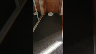 Робот-пылесос IRobot Roomba