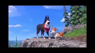 The secret life of pets but voiceover 3 ( go my TikTok doge131656 to see part 1 and 2)