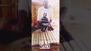 Dr Keb  Otala challenge avec le balafon par Zan(fils de Neba Solo)