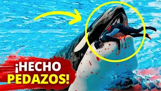 😱 Una Orca DEVORA Brutalmente a su Entrenador Alexis Martínez