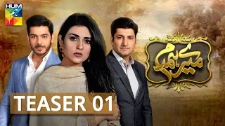 Mere Humdam | Teaser 01 | Coming Soon | HUM TV | Drama