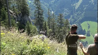 Last minute shot | hunting chamois in the alps | hunting film Woodwalker 2022 | ep # 35