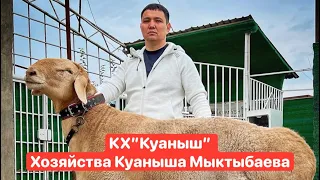 КХ”Куаныш” Хозяйства Куаныша Мыктыбаева🇰🇿🤝🇺🇿🎥📲🏅