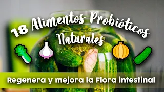 18 ALIMENTOS PROBIÓTICOS naturales | Regenera y mejora la Flora intestinal