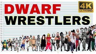 All Drawf Wrestlers Size Comparison | Wrestlers under 5 feet