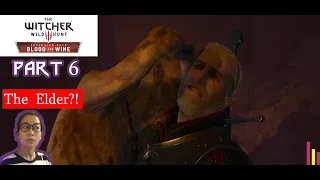 Vampires EVERYWHERE!! The Witcher 3 Blood and Wine Part 6 - The Night of Long Fangs Quest