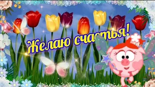 Счастье у каждого своё 🎶🐞💫  Пожелания от сердца 💕 ЖЕЛАЮ СЧАСТЬЯ  #музыкальнаяоткрытка #ПРИВЕТИК