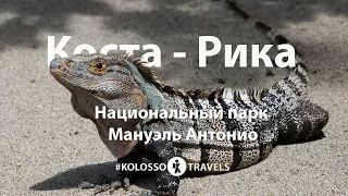 Kolossotravels. Коста-Рика. Тихоокеанское побережье. Национальный парк Мануэль Антонио