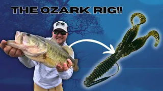 The SECRET Is Out On THIS New Bass Fishing Rig!  Have YOU Tried The OZARK RIG Yet?