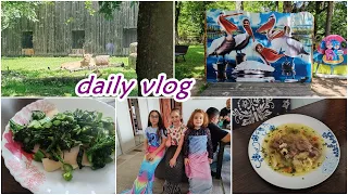 Daily Vlog #162 -  Zoo, ziua mea si altele😁😁