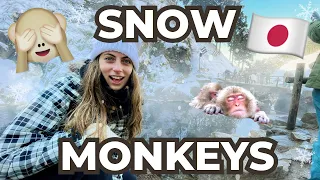 Japanese SNOW MONKEY Park in Nagano ❄️ 🐵