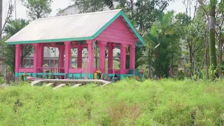 Take a FIRST LOOK at Singapore's NEW Bird Park - the Bird Paradise!