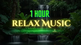 Relaxing Music | Piano Music | Spa, Study, Focus, Stress Relief & Deep Sleep #relaxationmusic