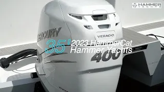 2023 HammerCat Walkthrough