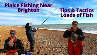 Plaice Fishing Near Brighton: Tips, Tactics and Loads of Fish