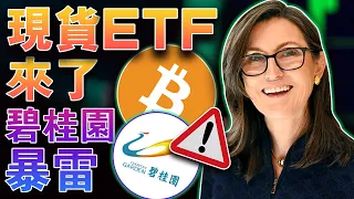 现货ETF来了；碧桂园暴雷；币安“落户”萨尔瓦多；Paypal发行稳定币；CoinsPaid 糟黑损失惨重20230809