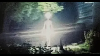 We Are Not Alone: Clearest Photo Of The Alien That Landed In Peru!!