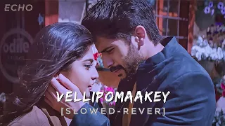 Vellipomaakey  [SLOWED-REVER] - sahasam swasaga sagipo | Naga Chaitanya | Manjima Mohan #slowed