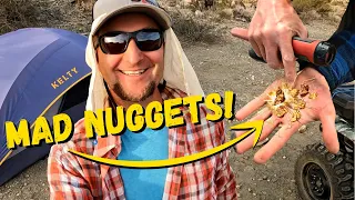 WHOLE BUNCH of GOLD NUGGETS with the Metal Detector!  Gold Detector Machine