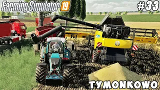 Harvesting triticale, making straw pellets | Tymonkowo Farm | Farming simulator 19 | Timelapse #33