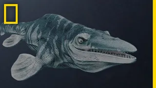 Mosasaurs 101 | National Geographic