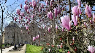 Discovering Paris in Spring, March 2024