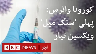 Covid vaccine: First 'milestone' vaccine offers 90% protection - BBC URDU