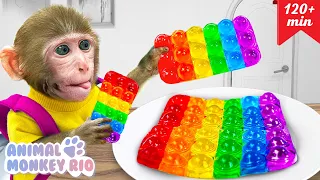 Macaco Rio desafio cozinhando Arco-íris satisfatório Geleia Pop It com o Patinho | Animal Monkey Rio