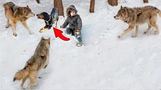 Brave Dog Sacrificed its own life to Protect 10 years old  kid from a Wolf!!!
