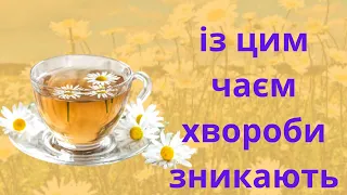 ЯК РОМАШКОВИЙ ЧАЙ ВПЛИВАЄ НА ОРГАНІЗМ ЛЮДИНИ. КОРИСНІ ВЛАСТИВОСТІ ПРО ЯКІ ВИ МОГЛИ І НЕ ЗНАТИ.