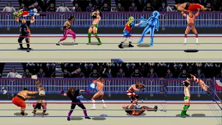 WWF WrestleMania The Arcade Game | All Combos | Special  Moves | Sega  4K | 1995