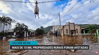 Ciclone no Rio Grande do Sul: mais de 10 mil propriedades rurais foram afetadas | Canal Rural