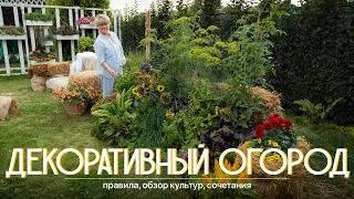 Декоративный огород. Что учесть при подборе культур